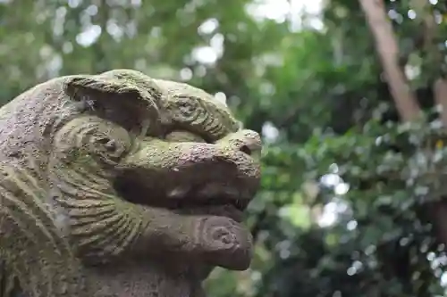 唐子神社の狛犬