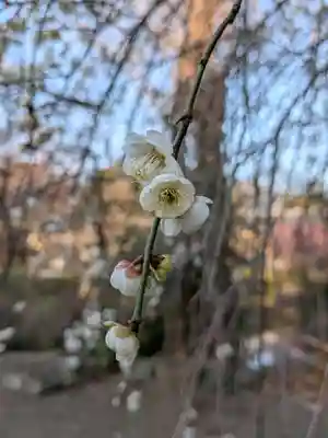 蓮華寺(東京都)