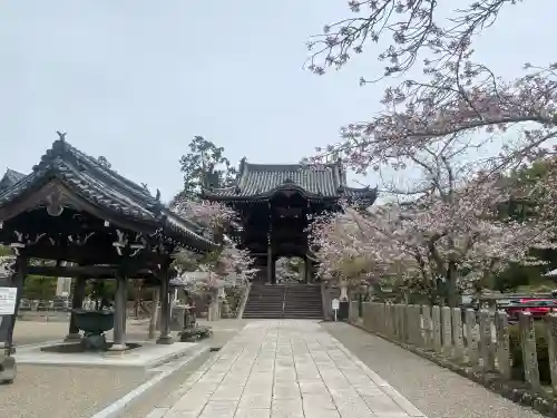 粉河寺の{uncategorized: "未分類", other: "その他", undefined: "問題あり", building: "その他建物", grave: "お墓", sacred_gate: "鳥居", guardian: "狛犬", statue: "像", buddha: "仏像", history: "歴史", nature: "自然", garden: "庭園", animal: "動物", pagoda: "塔", temizu: "手水舎", mountain_gate: "山門・神門", sanctuary: "本殿・本堂", subordinate: "末社・摂社", art: "芸術", scenery: "景色", jizo: "地蔵", ema: "絵馬", goshuin: "御朱印", omikuji: "おみくじ", items: "授与品その他", amulet: "お守り", goshuincho: "御朱印帳", eats: "食事", festival: "お祭り", votive_dance: "神楽", shichigosan: "七五三参", wedding: "結婚式", experience: "体験その他", initially: "初詣", around: "周辺", anti_infection: "感染症対策"}