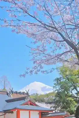 富士山本宮浅間大社(静岡県)