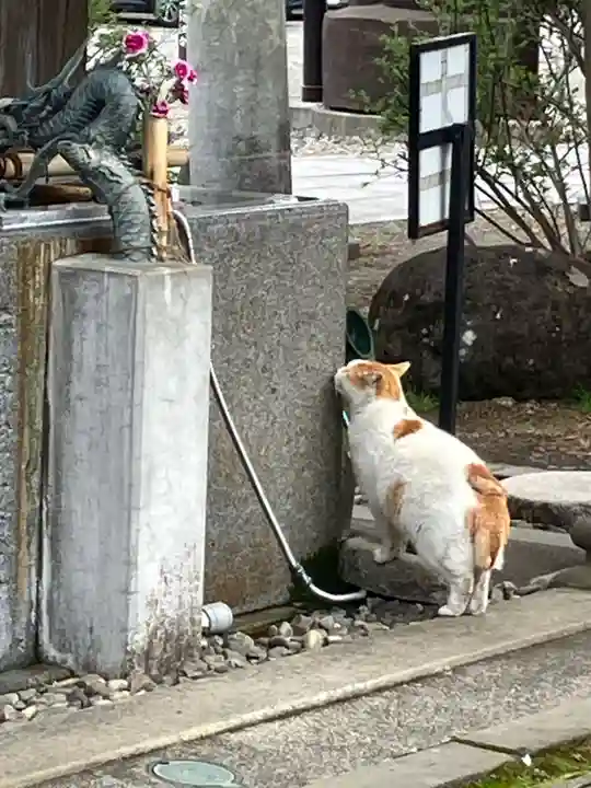 今市報徳二宮神社(栃木県)