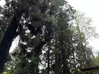 大宮温泉神社(栃木県)
