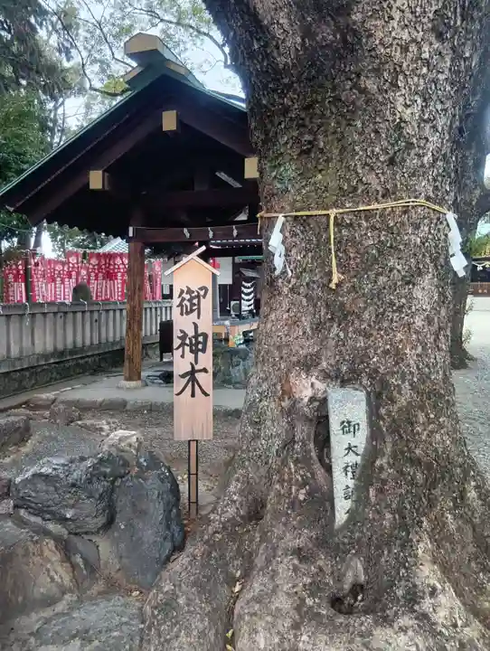 古知野神社(愛知県)