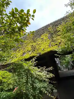 杉本寺(神奈川県)