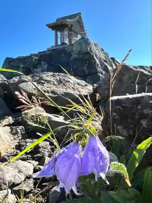 禰固岳神社(長野県)