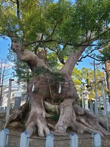 篠栗総鎮守 老松神社(福岡県)