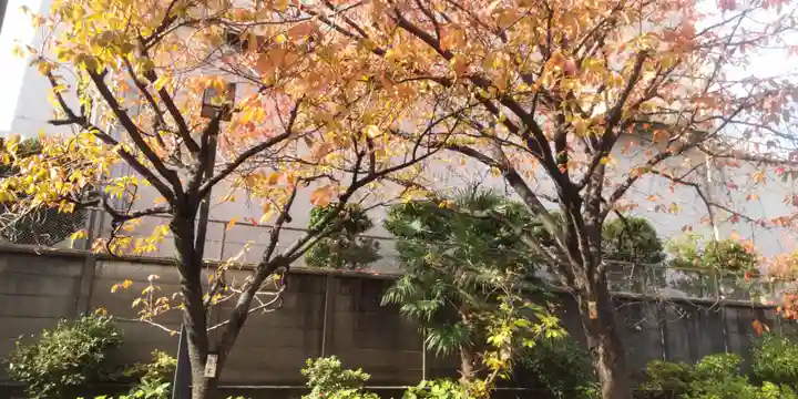 亀戸 香取神社(東京都)