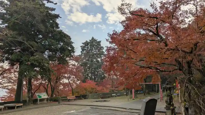 若山神社(大阪府)