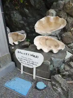二見興玉神社(三重県)