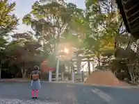 女河八幡宮(静岡県)