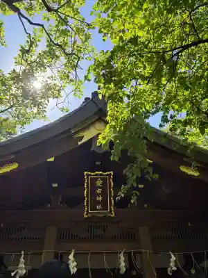 愛宕神社の{uncategorized: "未分類", other: "その他", undefined: "問題あり", building: "その他建物", grave: "お墓", sacred_gate: "鳥居", guardian: "狛犬", statue: "像", buddha: "仏像", history: "歴史", nature: "自然", garden: "庭園", animal: "動物", pagoda: "塔", temizu: "手水舎", mountain_gate: "山門・神門", sanctuary: "本殿・本堂", subordinate: "末社・摂社", art: "芸術", scenery: "景色", jizo: "地蔵", ema: "絵馬", goshuin: "御朱印", omikuji: "おみくじ", items: "授与品その他", amulet: "お守り", goshuincho: "御朱印帳", eats: "食事", festival: "お祭り", votive_dance: "神楽", shichigosan: "七五三参", wedding: "結婚式", experience: "体験その他", initially: "初詣", around: "周辺", anti_infection: "感染症対策"}
