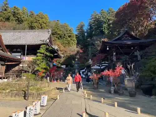 岡寺（龍蓋寺）の建物その他