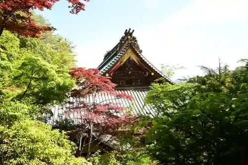 大聖院(広島県)