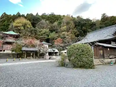 法輪寺(京都府)
