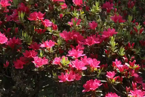 国宝 大法寺の自然