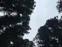 大宮温泉神社(栃木県)