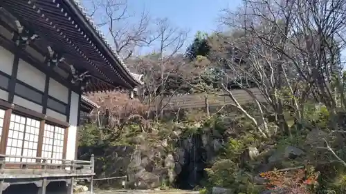 妙蓮寺の庭園