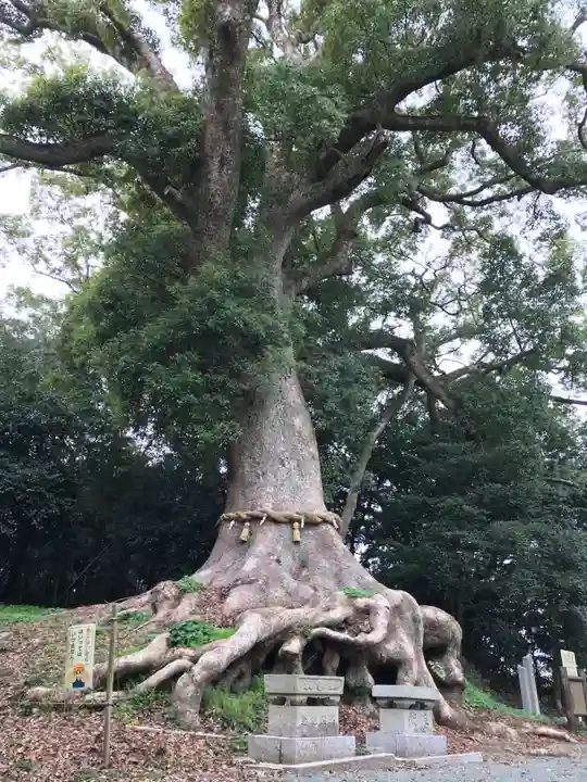 光岡八幡宮(福岡県)