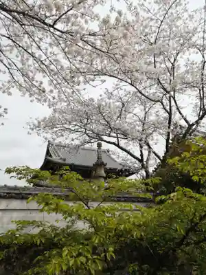成願寺のその他建物