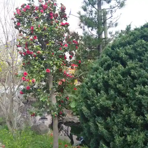 廣田神社～病厄除守護神～の自然
