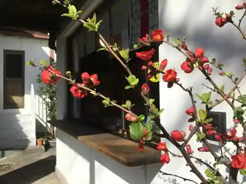 麻布氷川神社の自然