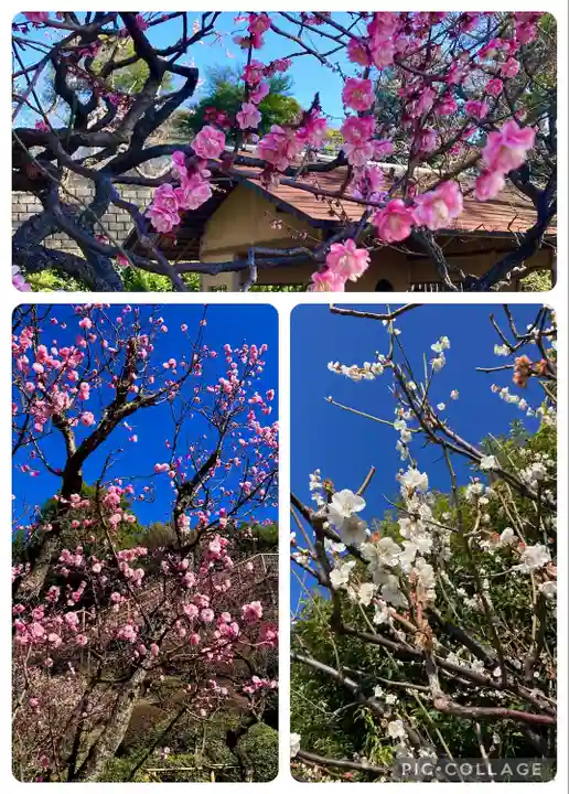 池上本門寺(東京都)