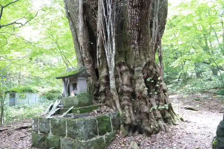 剣桂神社の自然