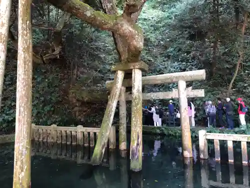 鹿島神宮(茨城県)