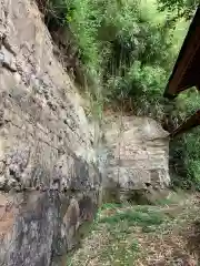 大宮神社の自然