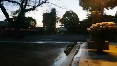 尾張大國霊神社(国府宮)の狛犬