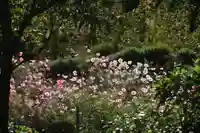 阿久津「田村神社」(郡山市阿久津町)旧社名:伊豆箱根三嶋三社の庭園