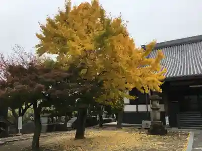 海上山 安養寺の自然