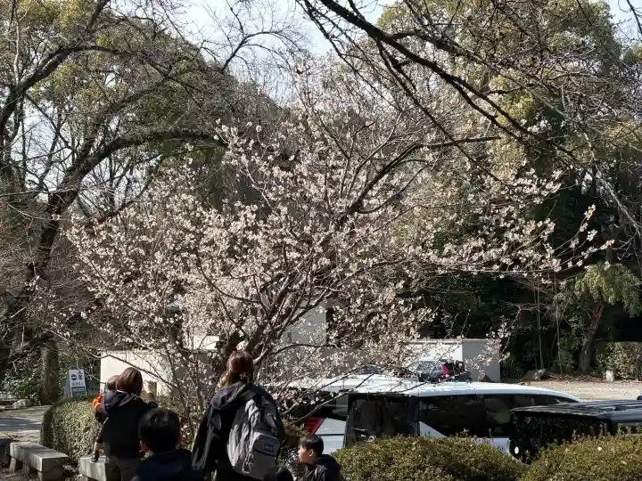 石清水八幡宮の{uncategorized: "未分類", other: "その他", undefined: "問題あり", building: "その他建物", grave: "お墓", sacred_gate: "鳥居", guardian: "狛犬", statue: "像", buddha: "仏像", history: "歴史", nature: "自然", garden: "庭園", animal: "動物", pagoda: "塔", temizu: "手水舎", mountain_gate: "山門・神門", sanctuary: "本殿・本堂", subordinate: "末社・摂社", art: "芸術", scenery: "景色", jizo: "地蔵", ema: "絵馬", goshuin: "御朱印", omikuji: "おみくじ", items: "授与品その他", amulet: "お守り", goshuincho: "御朱印帳", eats: "食事", festival: "お祭り", votive_dance: "神楽", shichigosan: "七五三参", wedding: "結婚式", experience: "体験その他", initially: "初詣", around: "周辺", anti_infection: "感染症対策"}