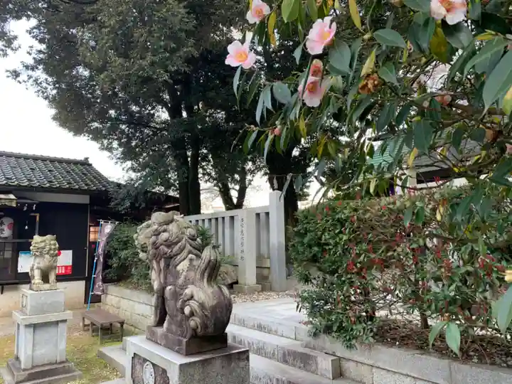 毛谷黒龍神社(福井県)