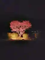 春日神社の庭園