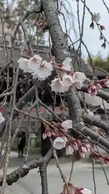 平野神社(京都府)