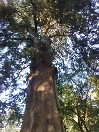 富士山法華本門寺根源(静岡県)