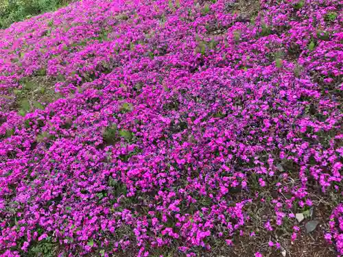 東本願寺本廟 牛久浄苑（牛久大仏）の自然