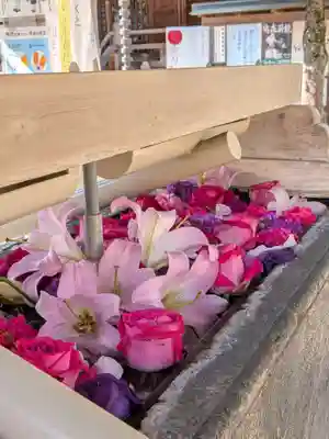 鳩森八幡神社(東京都)