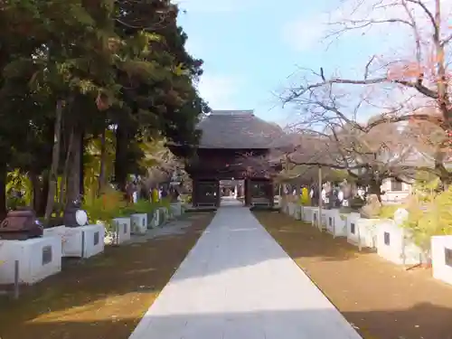 茂林寺の山門