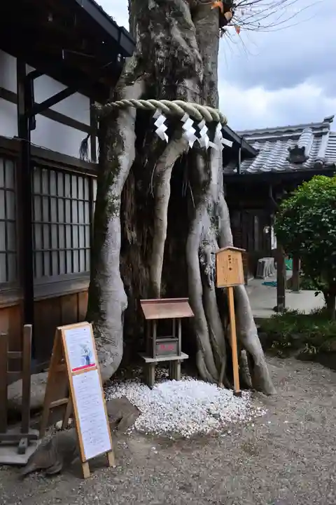 三輪坐恵比須神社(奈良県)