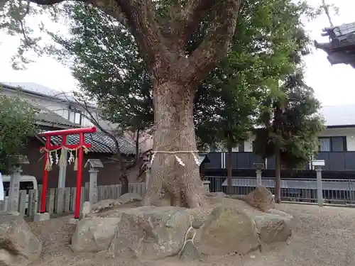常世岐姫神社の自然