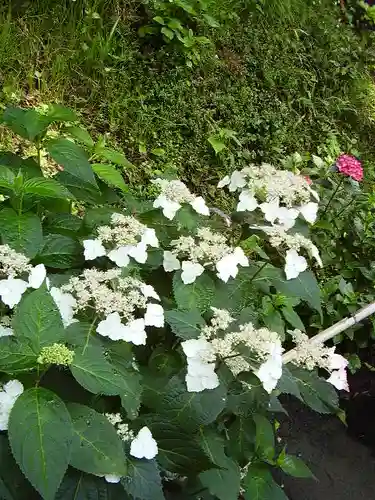 御霊神社の自然