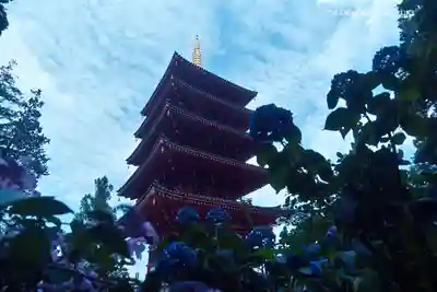 高幡不動尊 金剛寺の塔