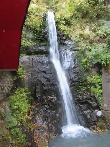 大正寺(中野不動尊)の周辺