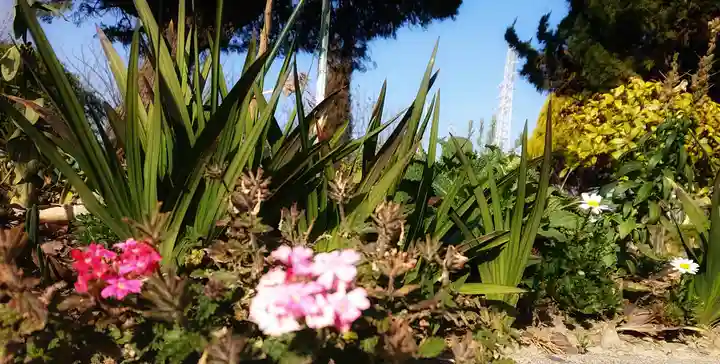 神明社(国府宮神明社)の周辺