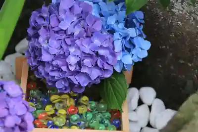 開成山大神宮の手水舎