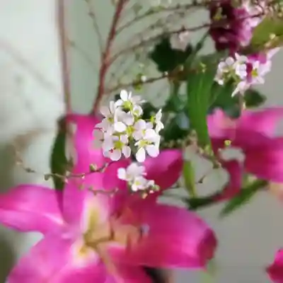 阿邪訶根神社(福島県)