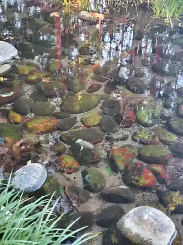 神明宮 (芋森神社)の周辺