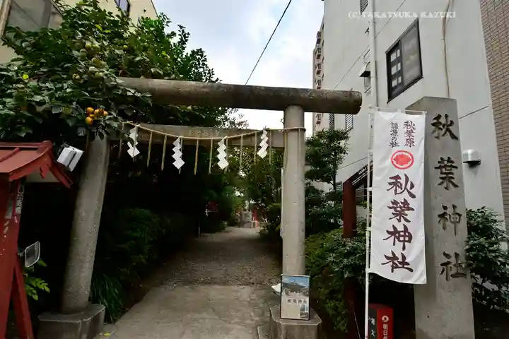 秋葉神社(東京都)